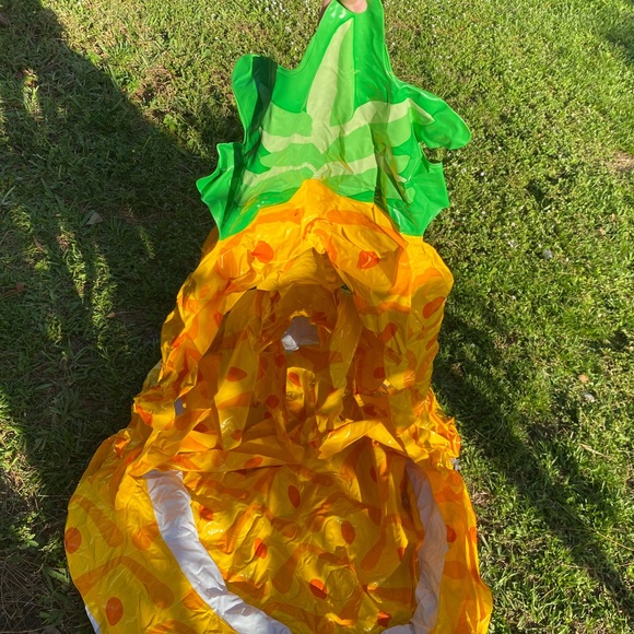 Baby toddler’s Pineapple Cover Inflatable Pool - Picture 4 of 9